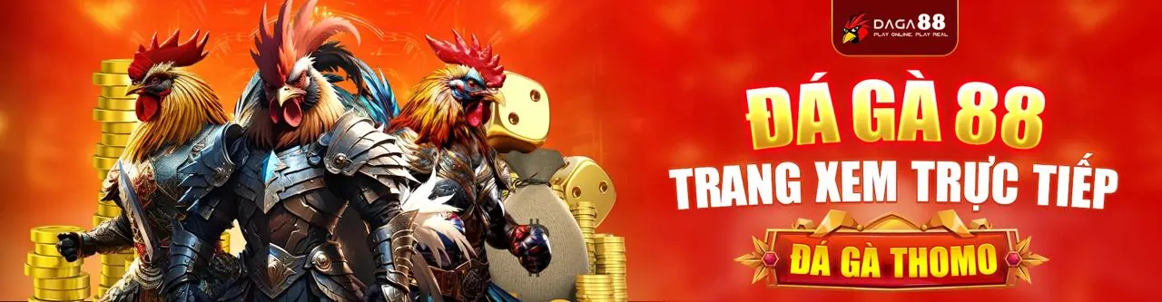 Đá gà trực tuyến kịch tính tại abc8